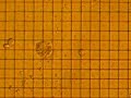 Cells dance the waltz on top of an integrated circuit Cells dance the waltz on top of an integrated circuit
