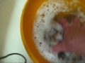 Washing Dog Hair for Hand Spinning