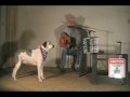 Ver Video