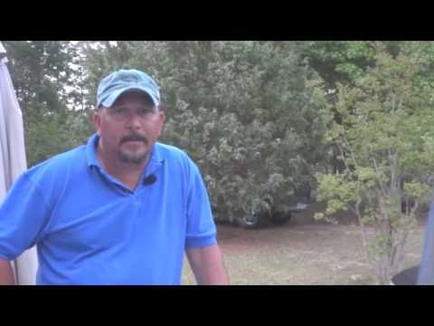 how to help quit smoking cigarettes