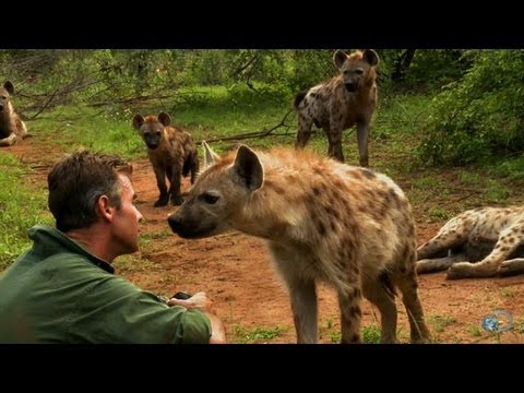 Kim Wolhuter: Maverick Wildlife Filmmaker