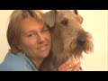 Airedale Terrier Linda Fox Terrier