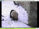 Tai Playing with Block