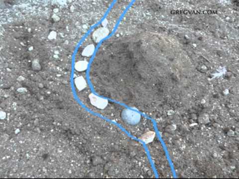 how to eliminate erosion