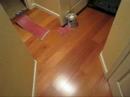 S. SAN FRANCISCO CA. SPECIE: ENGINEERED PACIFIC CHERRY FLOOR S. SAN FRANCISCO CA. SPECIE: ENGINEERED PACIFIC CHERRY FLOOR
