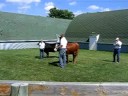 2008 Steele County 4-H Achievement Days-17