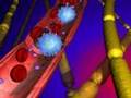 Tysabri (Natalizumab) - www.sandro-will-laufen.de