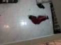 videos de trapeando la sala
