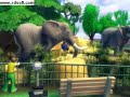 Zoo Tycoon 2 Part 1