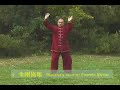 2004 Master Zhang Xue-xin - First 5 moves of HunYuan 83 Form