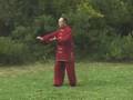 2004 Master Zhang Xue-xin - First 5 moves of HunYuan 83 Form