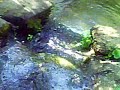 SJC-S�o Jos� dos Campos