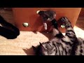 Просто положу это тут http://www.youtube.com/watch?v=nYAy4t74Nm8