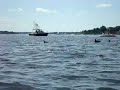 Dolphins in Navesink River Rumson NJ 8/16/08