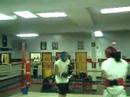 sparr 66 sparr 66