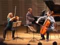 Brahms Trio H Dur Jess Trio Wien