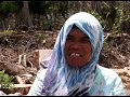 une année de lopération tsunami: activités en indonésie