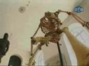 Skeloton got balls prank Skeloton got balls prank