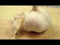 Planting Spices : How to Plant Garlic in Early Spring