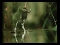 i??TE iLGiYLE iZLENiLEN VW TSI REKLAM FiLMi...