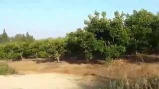 بلدة النعاني