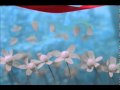 A Ribbon - Devendra Banhart