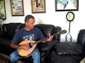Home made bouzuki -first sounds Home made bouzuki -first sounds