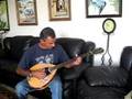 Home made bouzuki -first sounds