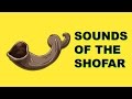 Shofar Sound High Quality Download