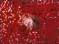 The Roadhog Bros. Show - Basement Bunker 2003