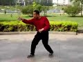 Che Xing Yi 12 Animals