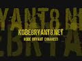 Kobe KB24 Bryant better than michael jordan