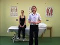 Physical Therapy: Series 1 Volume 4: The Shoulder