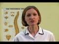 Physical Therapy: Series 1 Volume 4: The Shoulder