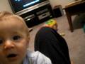 videos de talking baby