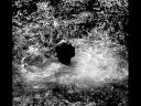 Sirene Song II.wmv