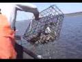 Deadliest catch