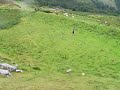 NITRO RC Car BUGGY HILL CLIMB Kyosho Inferno mp7.5 wet grass