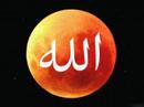 بارك الله فيكم يا سيدتي و نفعنا الله بعلوم و بركات آل الكتانيCoran Lu en Français par Marie Kettani.Que Dieu la Bénisse.صدق الله العظيم
