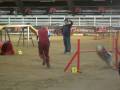videos de riccardo e spritz agility 2 voghera dicembre 08