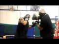 Reflex&Counterpunch training for boxing&mma