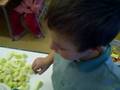 videos de Fem suc