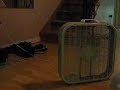 Fan Fan