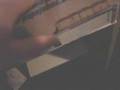 Papa John's Hawaiian Barbeque Chicken Pizza