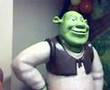 SHREK TERCEIRO - TEMA DE FESTA INFANTIL