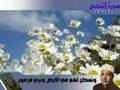 قراءة ناذرة ومميزة للشيخ عبد الباسط لبعض الآيات سورة القصص1 قراءة ناذرة ومميزة للشيخ عبد الباسط لبعض الآيات سورة القصص1