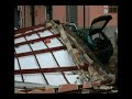 Tromba d'aria a Lamezia Terme (LZ)