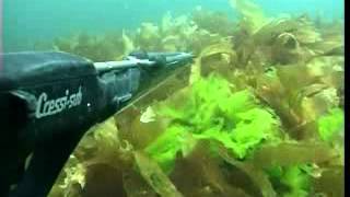 49º Campeonato de España Individual Pesca Submarina