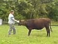 jyderne fra jylland episode 4�