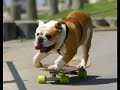 Goldfinger - Superman (Skateboarding Music)